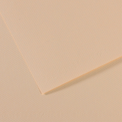 Бумага для пастели 210х297мм 50л Canson Mi-Teintes Желтая скорлупа 160г/м2 (цена за лист) 200321647