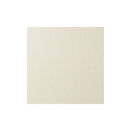 Бумага для пастели 500х650мм 25л LANA слоновая кость (цена за лист), 15011482