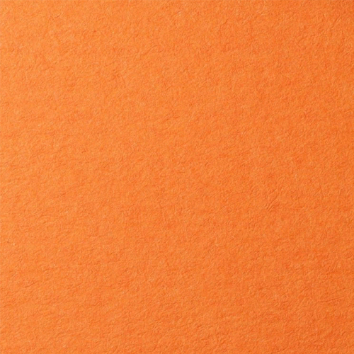 Бумага для пастели 210х297мм 25л LANA оранжевый 160г/м2 (цена за лист), 15723132