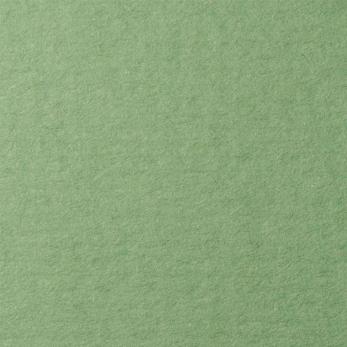 Бумага для пастели 500х650мм 25л LANA зеленый сок (цена за лист), 15011481