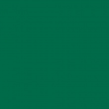 Цветная бумага А4 зеленая ель 130гр/м2 20л FOLIA (цена за лист), 64/2058