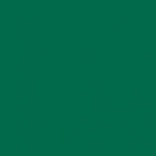 Цветная бумага А4 зеленая ель 130гр/м2 20л FOLIA (цена за лист), 64/2058