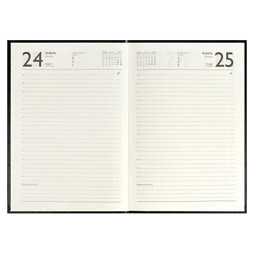 Ежедневник датированный 2024г А5 160л черный бумвинил Феникс, 64334