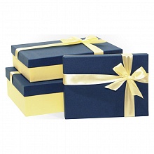 Коробка подарочная прямоугольная  25x17x6см синяя-слоновая кость Д10103П.159.2