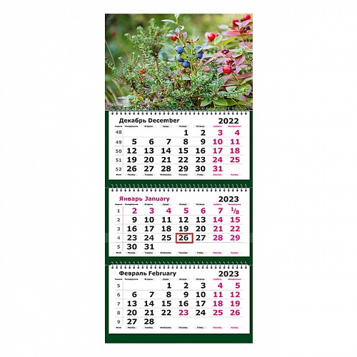 Календарь  2023 год квартальный Дикие ягоды Полином, 13с14-221