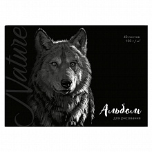 Альбом для рисования А4 40л склейка Волк Феникс, 57430