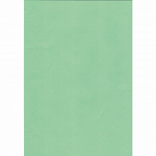 Бумага для офисной техники цветная А4  80г/м2 100л зеленый медиум Крис Creative, БОpr-100зел