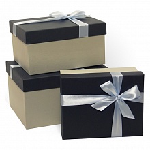 Коробка подарочная прямоугольная  19x15x9см черная-серая Д10103П.183.3