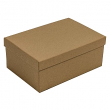 Коробка подарочная прямоугольная  23х16х9,5см Крафт OMG 720323/2