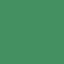 Цветная бумага 50х70см зеленый мох 130гр/м2 10л FOLIA (цена за лист), 6753