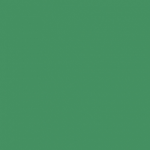 Цветная бумага 50х70см зеленый мох 130гр/м2 10л FOLIA (цена за лист), 6753