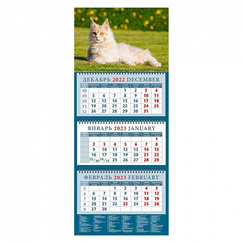 Календарь  2023 год квартальный Год кота.Приятно полежать на солнышке День за Днем, 14319
