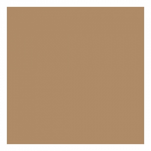Картон 50х70см коричневый светлый 300г/м2 FOLIA (цена за 1 лист) 6172