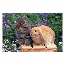 Календарь  2023 год квартальный Символ года Кролик и котик Полином, 13с14-237