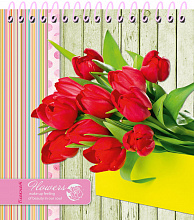 Блокнот А6  48л Проф-Пресс спираль цветная мелованная обложка для девочек Б48-3833,Б48-3835,Б48-2292