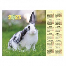 Календарь  2023 год листовой А2 Год Кролика2 Hatber Кл2_28014