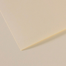 Бумага для пастели 210х297мм 50л Canson Mi-Teintes Лилия 160г/м2 (цена за лист) 200321645