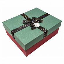 Коробка подарочная прямоугольная  21,5х17,5х9,5см Especially for you OMG 720300-291