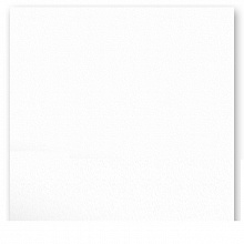 Картон А4 белый 300г/м2 FOLIA (цена за 1 лист) 614/1000