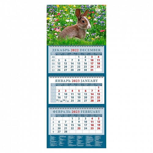 Календарь  2023 год квартальный Год кролика.Среди цветов День за Днем, 14302