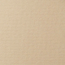 Бумага для пастели 210х297мм 25л LANA бело-серый 160г/м2 (цена за лист), 15723148