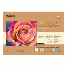 Блокнот для пастели А3 20л 160г/м2 5 цветов MUNGYO, MGMPPP-A3SA