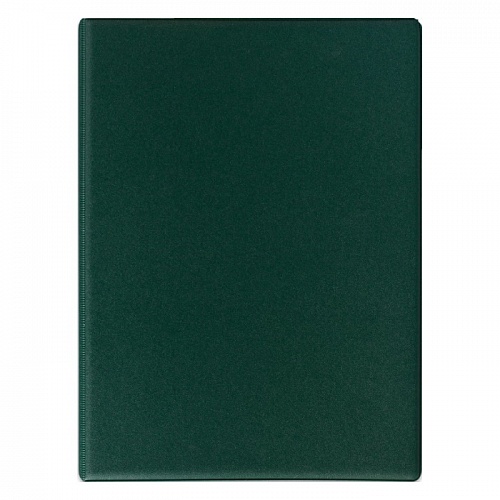 Папка-обложка для тетрадей на кольцах зеленая ДПС 2419.К-108