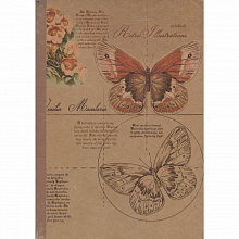 Записная книжка 176х250мм 48л ФЕНИКС Notebook крафт 28831, 28833