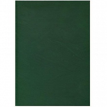 Ежедневник недатированный А4 136л зеленый бумвинил Проф-Пресс, 136-1519