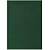 Ежедневник недатированный А4 136л зеленый бумвинил Проф-Пресс, 136-1519
