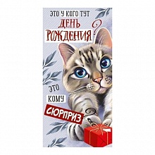 Открытка конверт для денег Это у кого тут День рождения? ИП 38.691.00