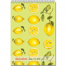 Блокнот для зарисовок А4 40л Sketchbook Лимоны Полином 2716
