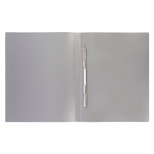 Папка с боковым прижимом А4 серебряная Expert Complete Prisma, EC210500029