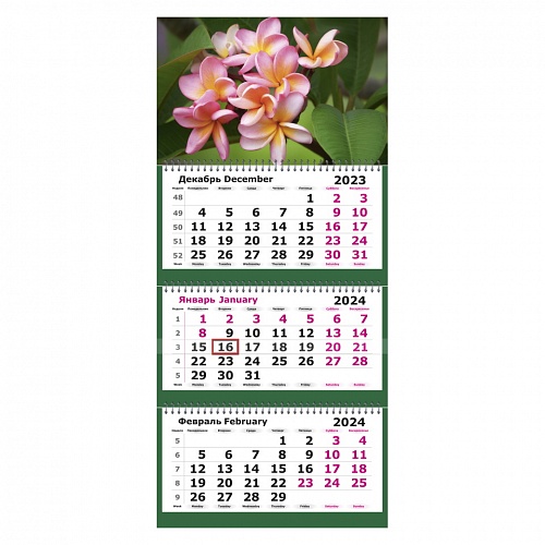 Календарь  2024 год квартальный Балийский цветок Полином, 13с14-263