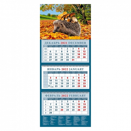 Календарь  2022 год квартальный Ежик с грибами День за Днем, 14261