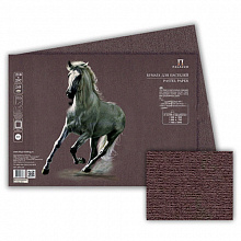 Бумага для пастели 350х500мм 10л Лилия Холдинг Палаццо коричневая Ashes (цена за лист) БPA/В3