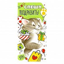Открытка конверт для денег С днем рождения ИП, 38.046.00