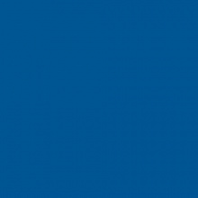 Картон 50х70см королевский голубой 300г/м2 FOLIA (цена за 1 лист) 6135