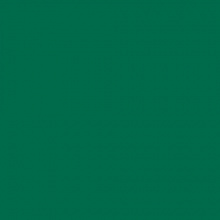 Картон А4 зеленый еловый 300г/м2 FOLIA (цена за 1 лист) 614/1058