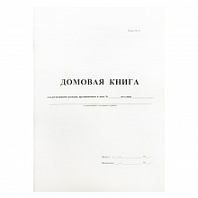 Домовая книга А4 16л картон Бланкиздат, 380663 