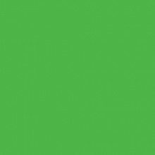 Картон 50х70см зеленый травяной 300г/м2 FOLIA (цена за 1 лист) 6155