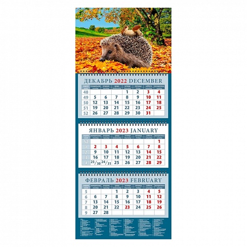 Календарь  2023 год квартальный Ежик с грибами День за Днем, 14361
