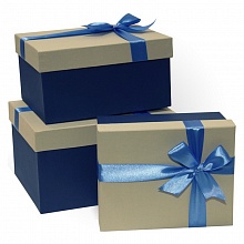 Коробка подарочная прямоугольная  23x19x13см серая-синяя Д10103П.178.1