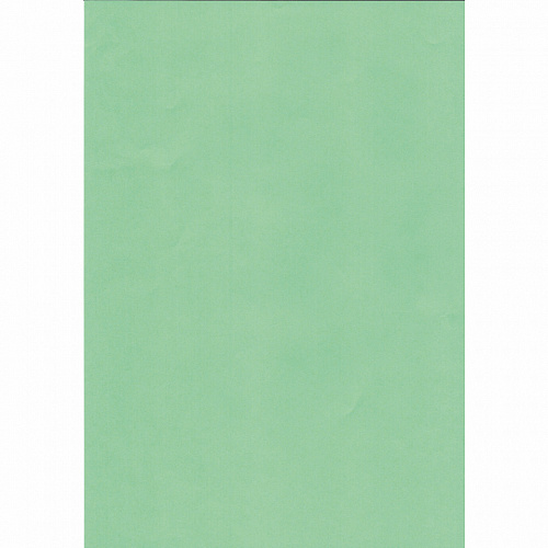 Бумага для офисной техники цветная А4  80г/м2  50л зеленый медиум Крис Creative, БОpr-50зел