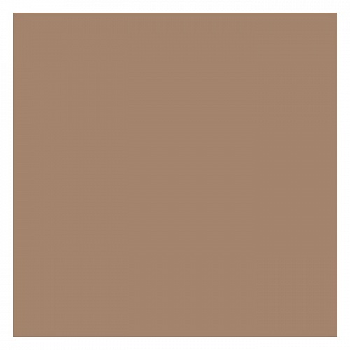 Картон А4 светло-коричневый 300г/м2 FOLIA (цена за 1 лист) 614/1075