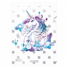 Папка-угол А4 пластик 0,16мм Dream Unicorn Erich Krause, 55310