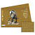 Бумага для пастели 210х297мм 50л Лилия Холдинг Палаццо Cinnamon корица (цена за лист) БPС/А4