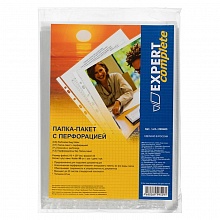 Папка-карман с перфорацией А4  42мкм глянец Expert Complete 50шт (цена за упак.) 220403