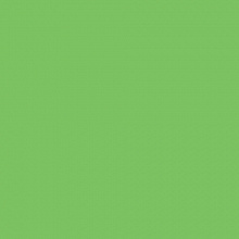 Картон А4 светло-зеленый 300г/м2 FOLIA (цена за 1 лист) 614/1051