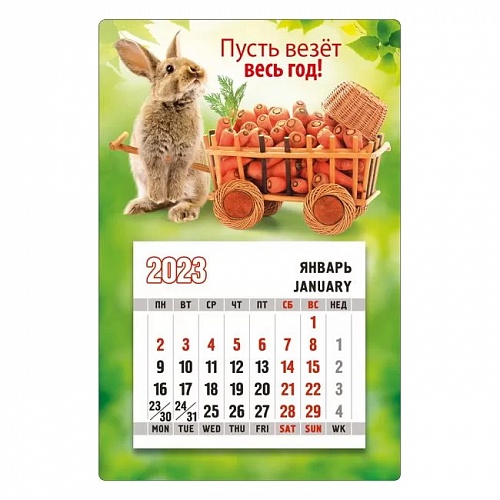 Календарь 2023 год магнитный Пусть везет весь год ГК Горчаков, 15.17.01406	
